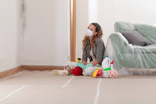 Reliable Mold Remediation contractor in Nunn, CO by Mold Remediation HQ